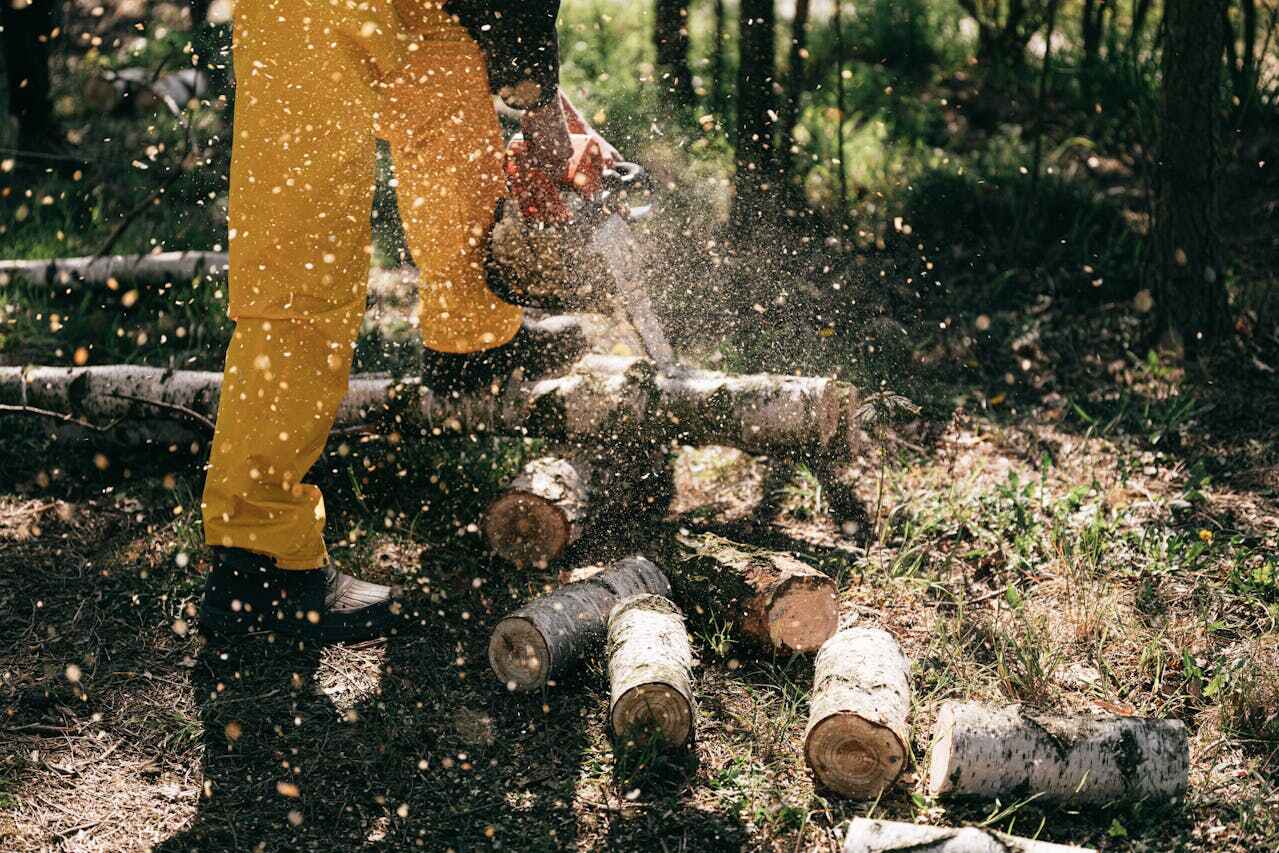 Best Stump Grinding Near Me  in Jupiter Farms, FL